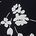 color White Black Floral