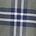 color Green Plaid