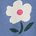 color Daisy