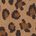 color Leopard