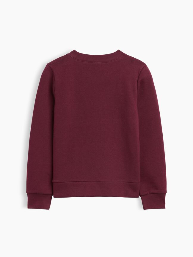 Kids Graphic Sweatshirt gap kids graphic sweatshirt