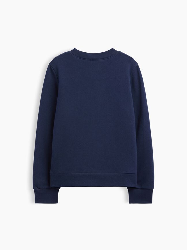 Kids Graphic Sweatshirt gap kids graphic sweatshirt