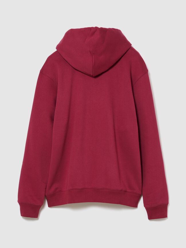 Adult VintageSoft Arch Logo Hoodie gap adult vintagesoft arch logo hoodie