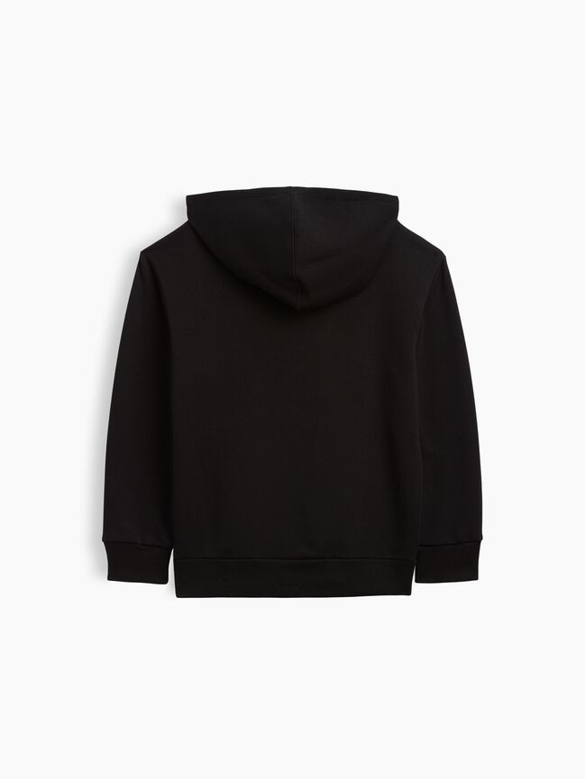 Kids Graphic Hoodie gap kids graphic hoodie