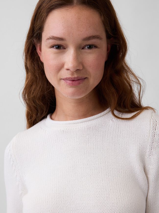100% Cotton Rollneck Sweater gap 100 cotton rollneck sweater