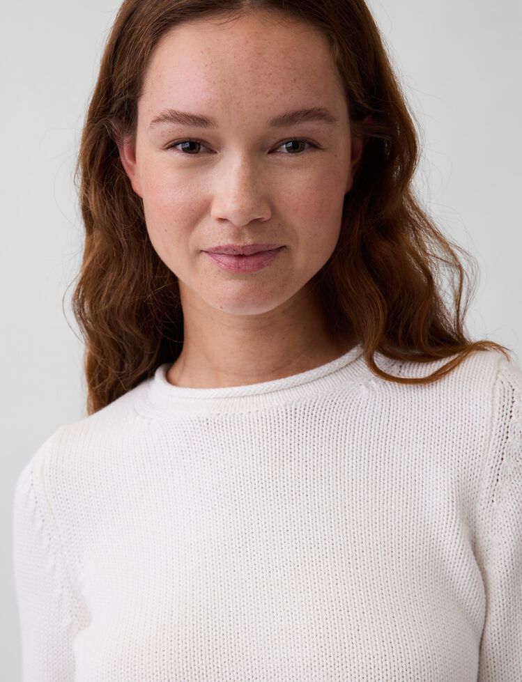 100% Cotton Rollneck Sweater gap 100 cotton rollneck sweater