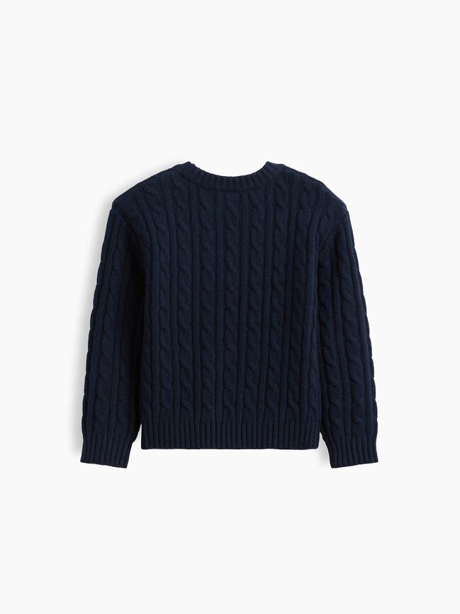 Baby & Toddler CashSoft Cable-Knit Sweater gap baby toddler cashsoft cable knit sweater