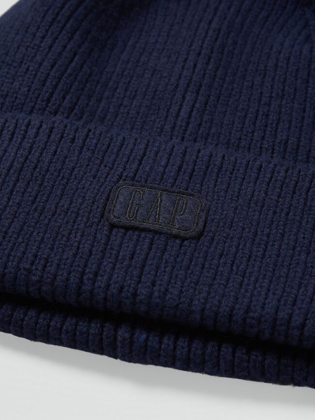Gap Logo Beanie gap logo beanie
