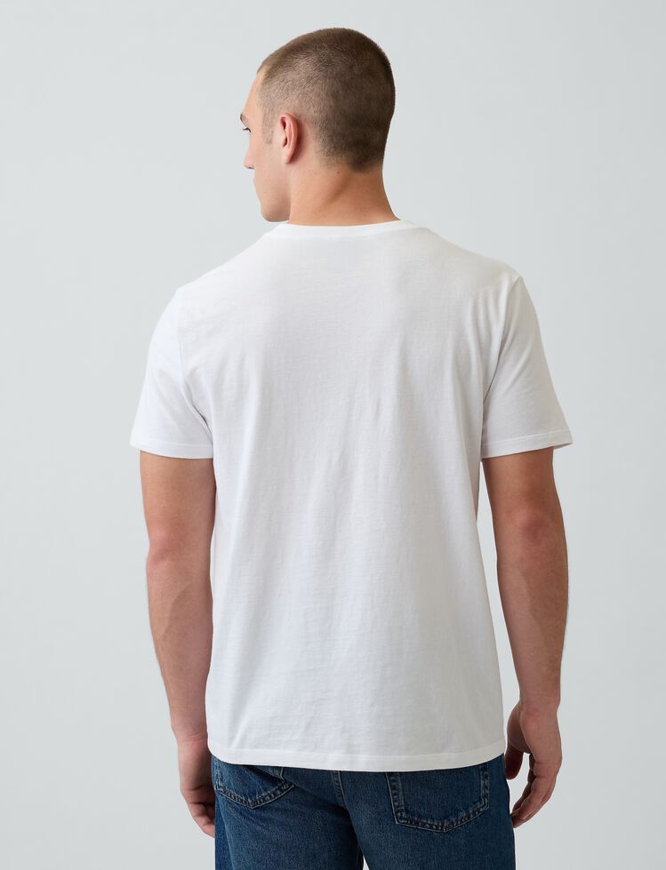 Cotton Jersey V-Neck T-Shirt gap cotton jersey v neck t shirt